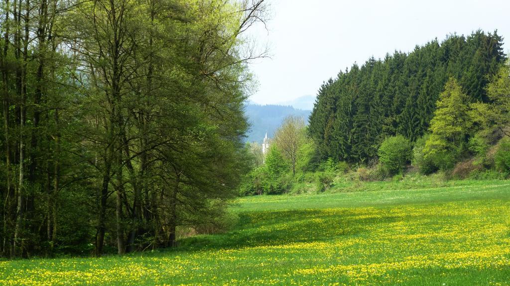 Haus Elpe Naehe Meschede Winterberg Villa Olsberg Phòng bức ảnh